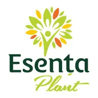 Esenta Plant