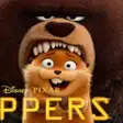 Hopperi