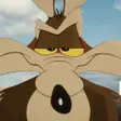 Coyote vs. Acme