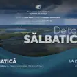 Delta Sălbatică