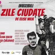 Niste zile ciudate