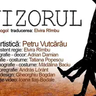 Revizorul