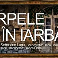 Sarpele in iarba