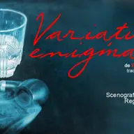 Variatiuni enigmatice