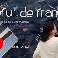 Profu de franceza