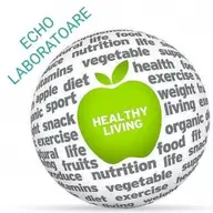 Echo Laboratoare