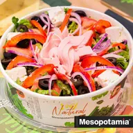 Mesopotamia - Magnolia Center