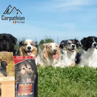 Distribuitor hrana caini - Carpathians Pet Food