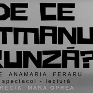 De ce vatmanul Frunza?