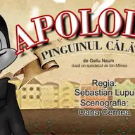 Apolodor, pinguinul călător