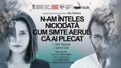 N-am înțeles niciodată cum simte aerul că ai plecat