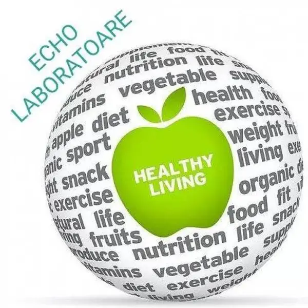 Echo Laboratoare