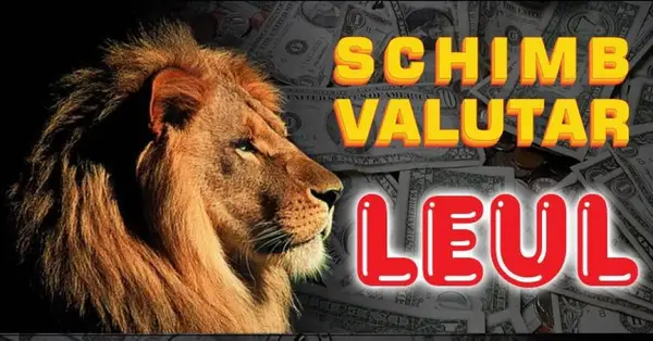 Case de schimb valutar Leul - Bulevardul Decebal