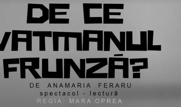 De ce vatmanul Frunza?