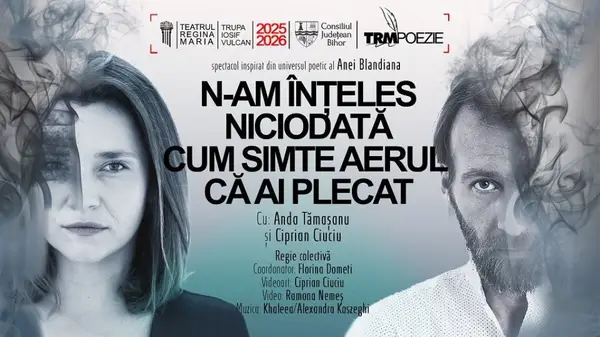 N-am înțeles niciodată cum simte aerul că ai plecat