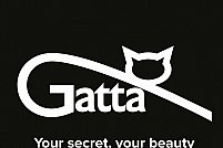 Gatta - Lotus